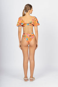 Medusa Butterfly Bottom